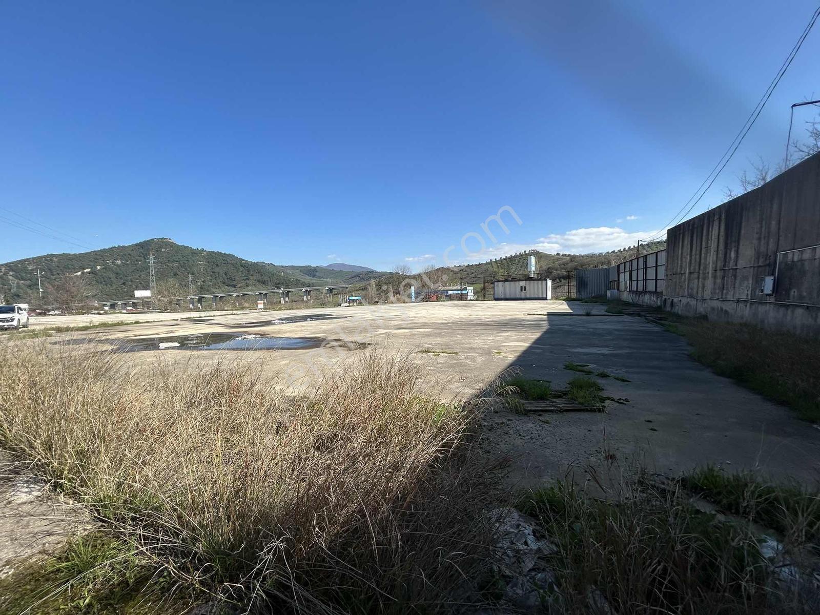 Gemlik Kurtul Ana Yola Cephe İmarlı İki Dönüm Arsa Satılık - Görsel 4