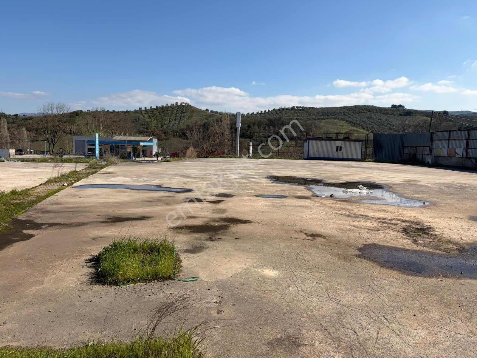 Gemlik Kurtul Ana Yola Cephe İmarlı İki Dönüm Arsa Satılık - Görsel 16