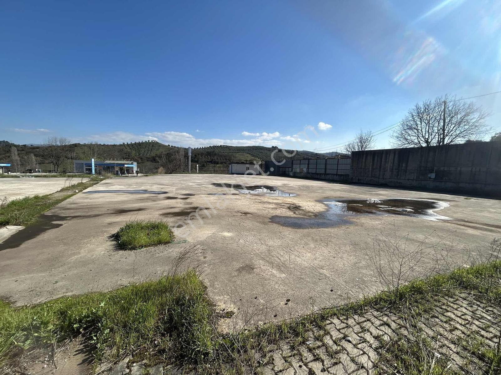 Gemlik Kurtul Ana Yola Cephe İmarlı İki Dönüm Arsa Satılık - Görsel 5