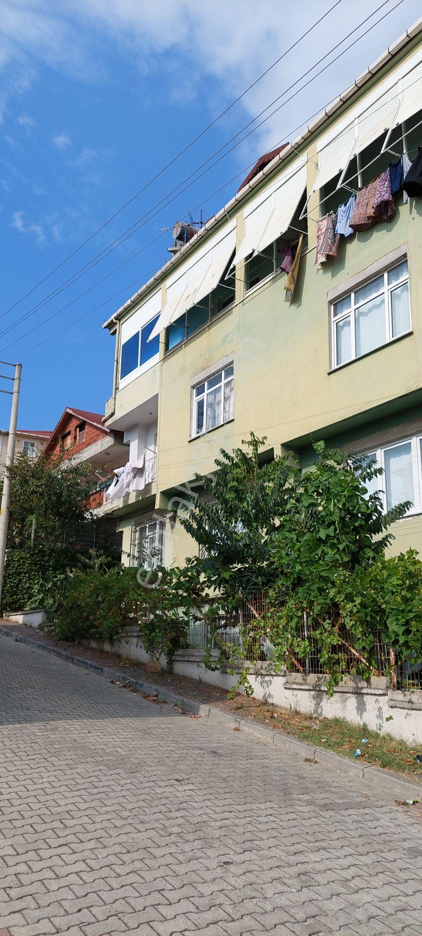 Sahibinden Kiralık Gtü Ve Marmaraya Yakın, Balkonu Ve Ankastre Mutfaklı Bahçeli Daire ( Eşyasız ) - Görsel 2