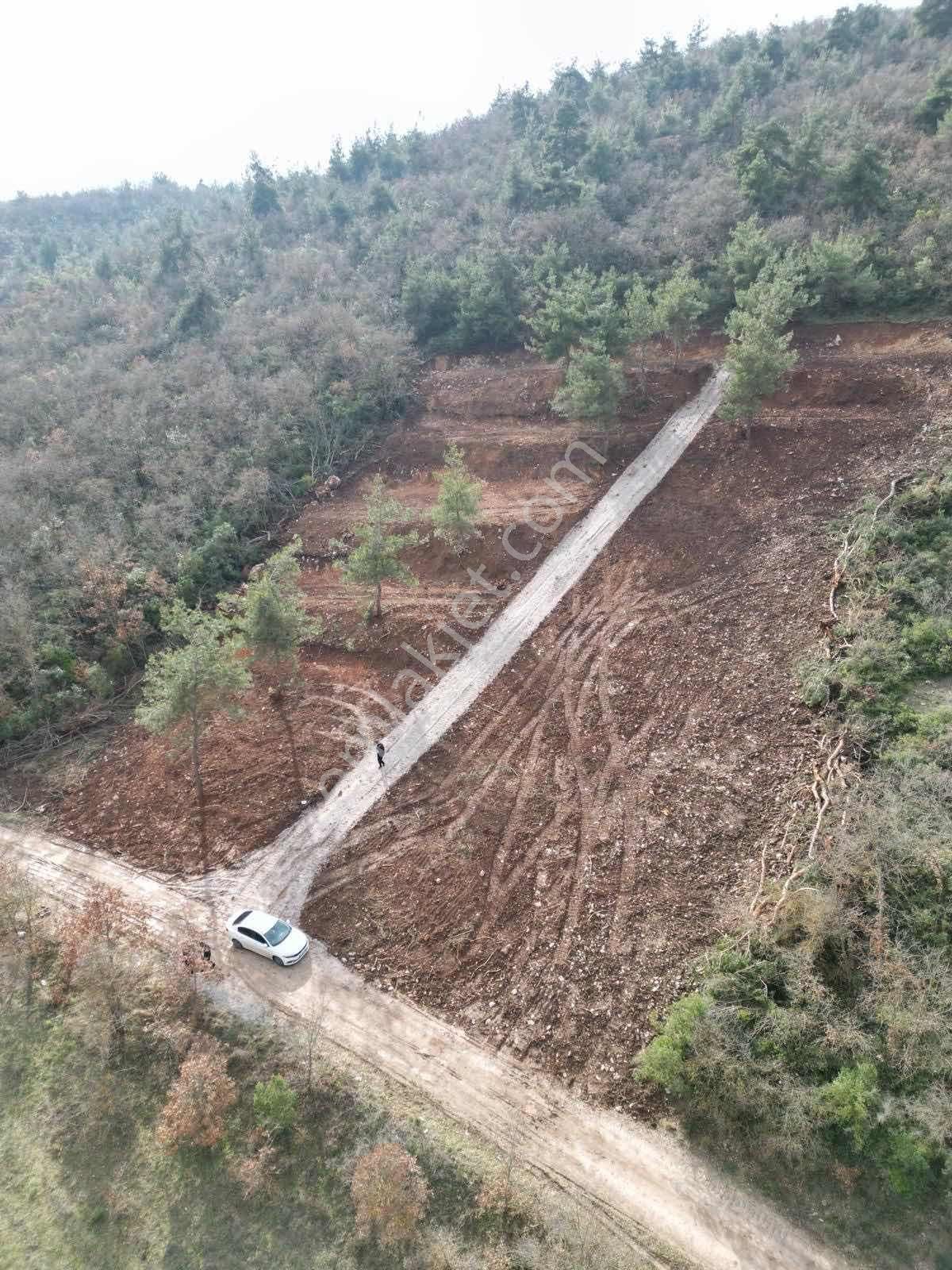 Yenişehir Marmarıcık'ta Resmi Yola Cephe 232 M2 Hobi Bahçesi - Görsel 12
