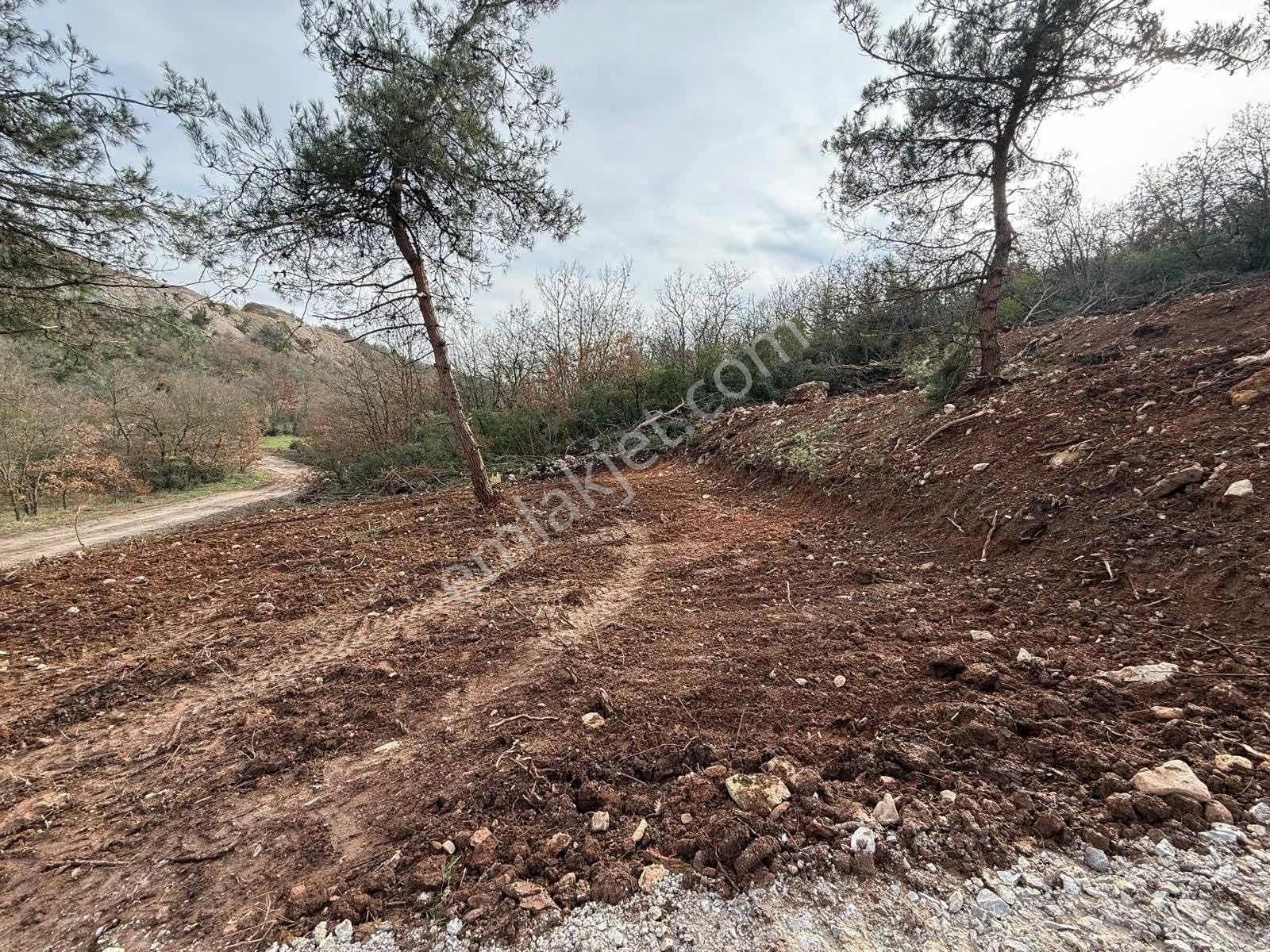 Yenişehir Marmarıcık'ta Resmi Yola Cephe 232 M2 Hobi Bahçesi - Görsel 7