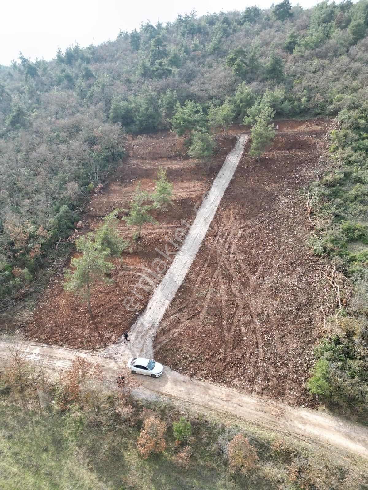 Yenişehir Marmarıcık'ta Resmi Yola Cephe 232 M2 Hobi Bahçesi - Görsel 9