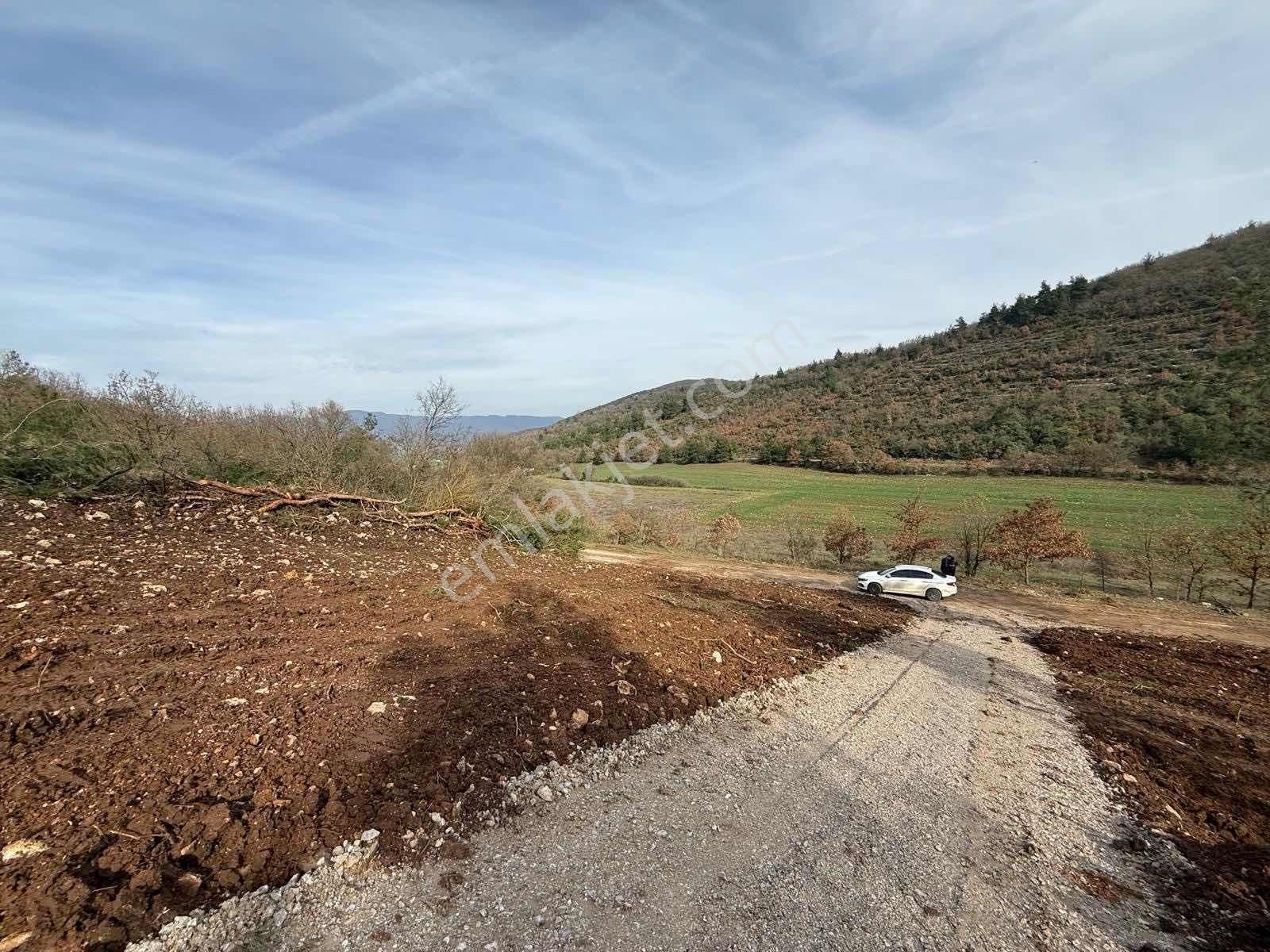 Yenişehir Marmarıcık'ta Resmi Yola Cephe 232 M2 Hobi Bahçesi - Görsel 3