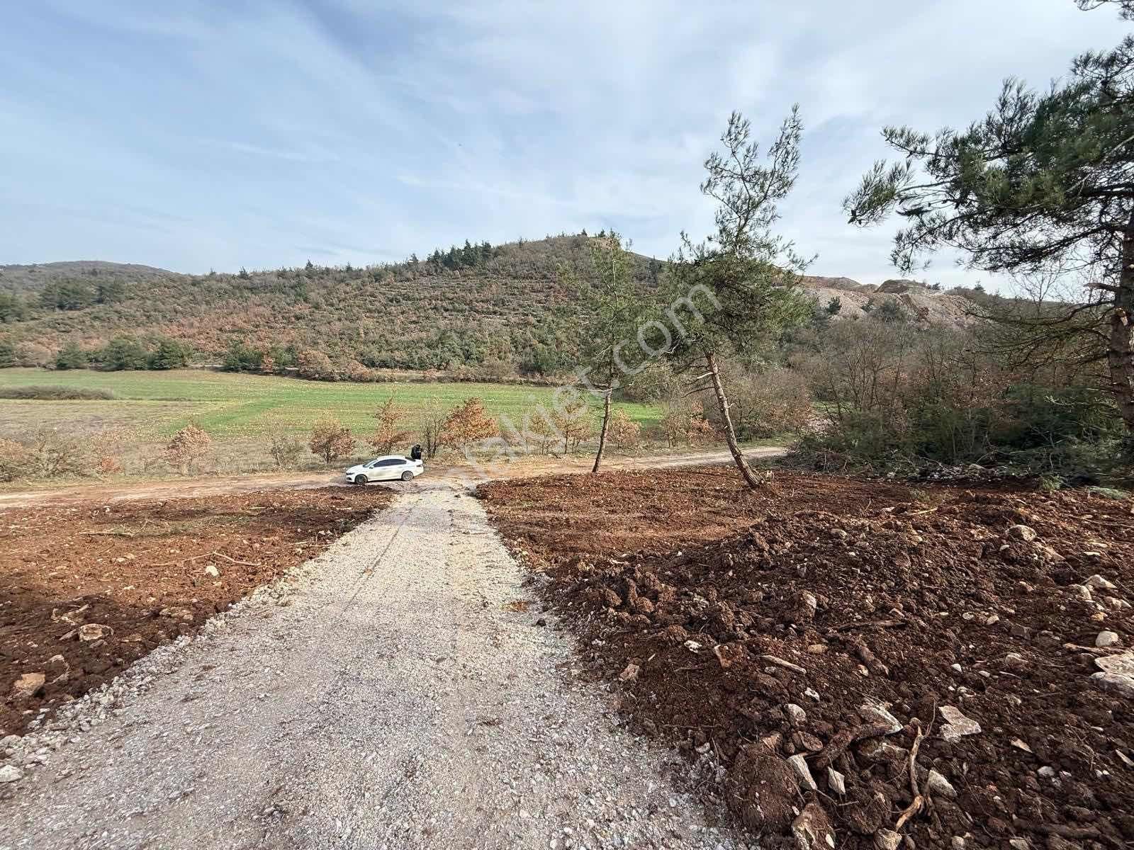 Yenişehir Marmarıcık'ta Resmi Yola Cephe 232 M2 Hobi Bahçesi - Görsel 2