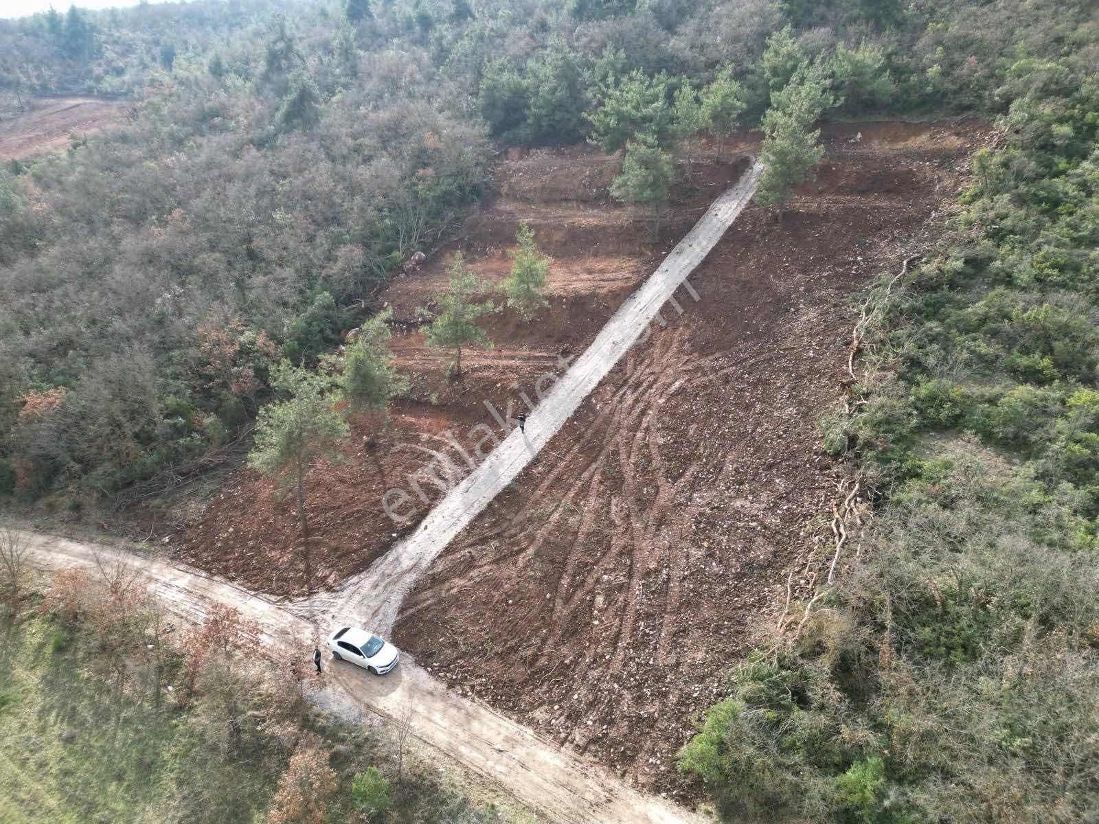 Yenişehir Marmarıcık'ta Resmi Yola Cephe 232 M2 Hobi Bahçesi - Görsel 8