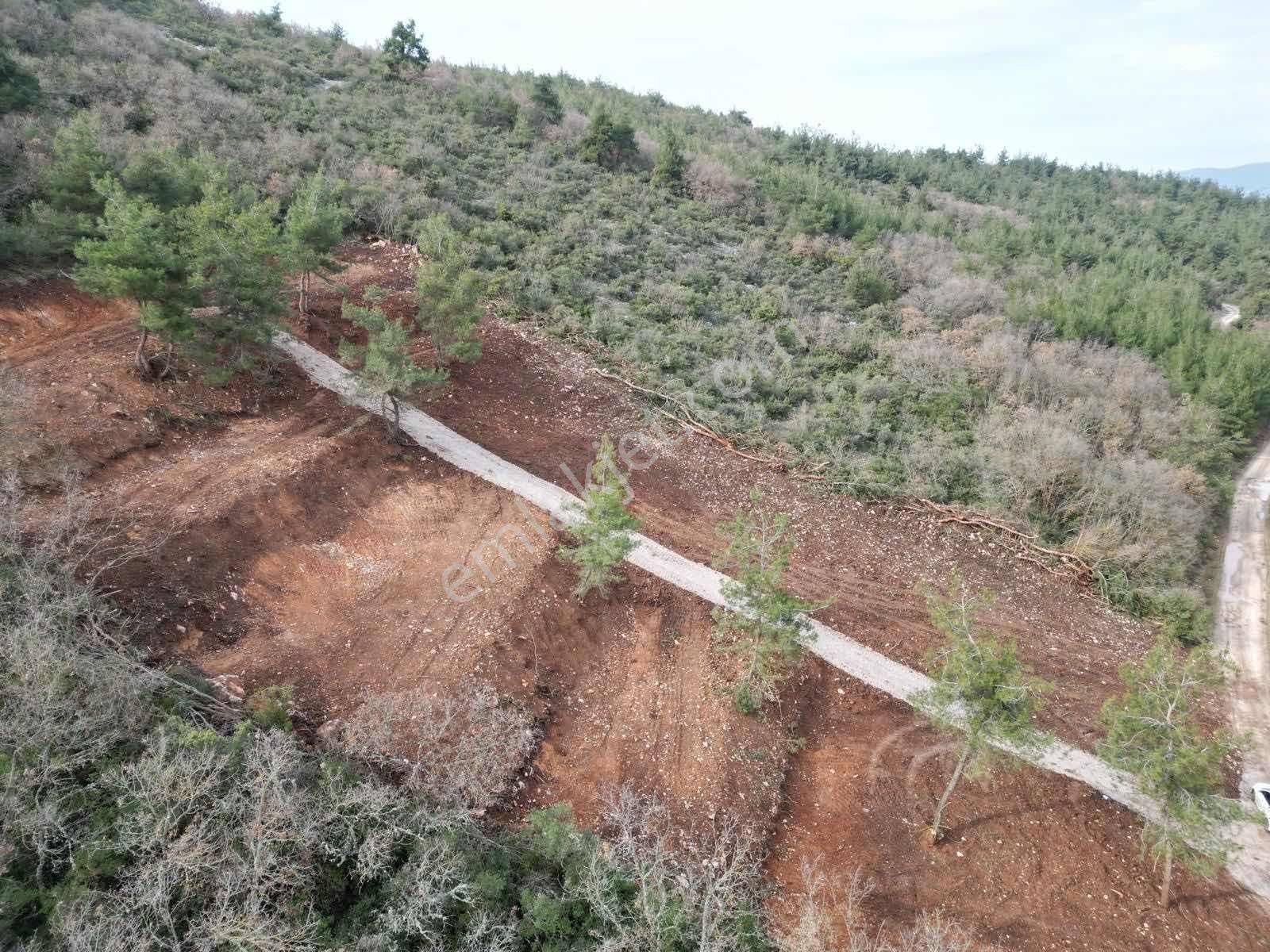 Yenişehir Marmarıcık'ta Resmi Yola Cephe 232 M2 Hobi Bahçesi