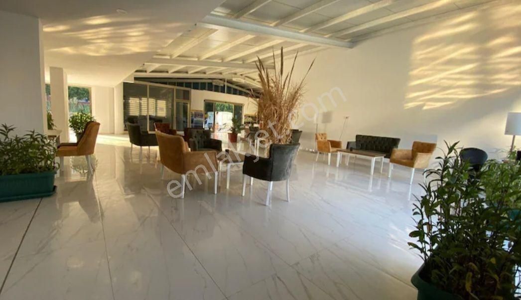 Sahibinden Sarisuda 1+1 - Görsel 2