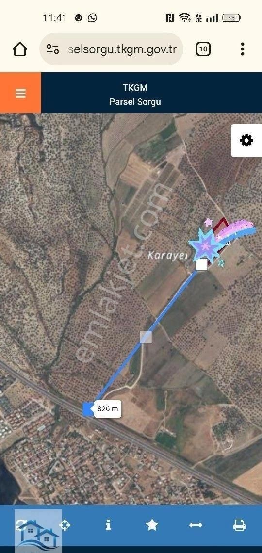 Ayvalık, Gazi Kemalpaşa'da Satılık 13.800 M2 Zeytinlik - Görsel 2