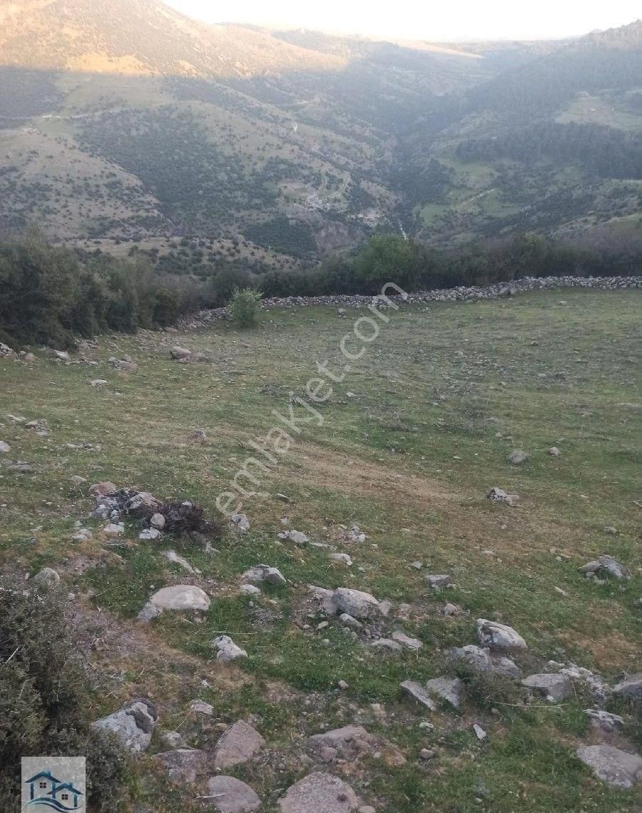 Kınık, Büyükoba Da 5.380 M2 Satılık Tarla - Görsel 2