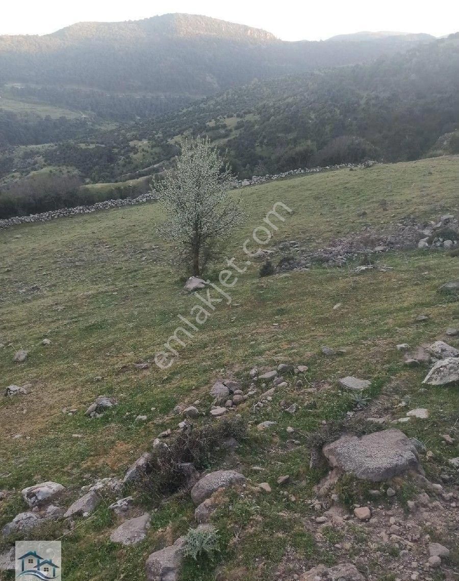 Kınık, Büyükoba Da 5.380 M2 Satılık Tarla