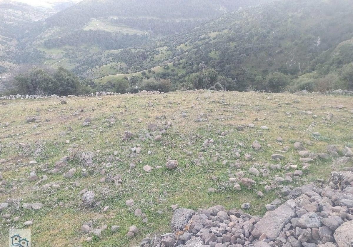Kınık, Büyükoba Da 5.380 M2 Satılık Tarla - Görsel 3