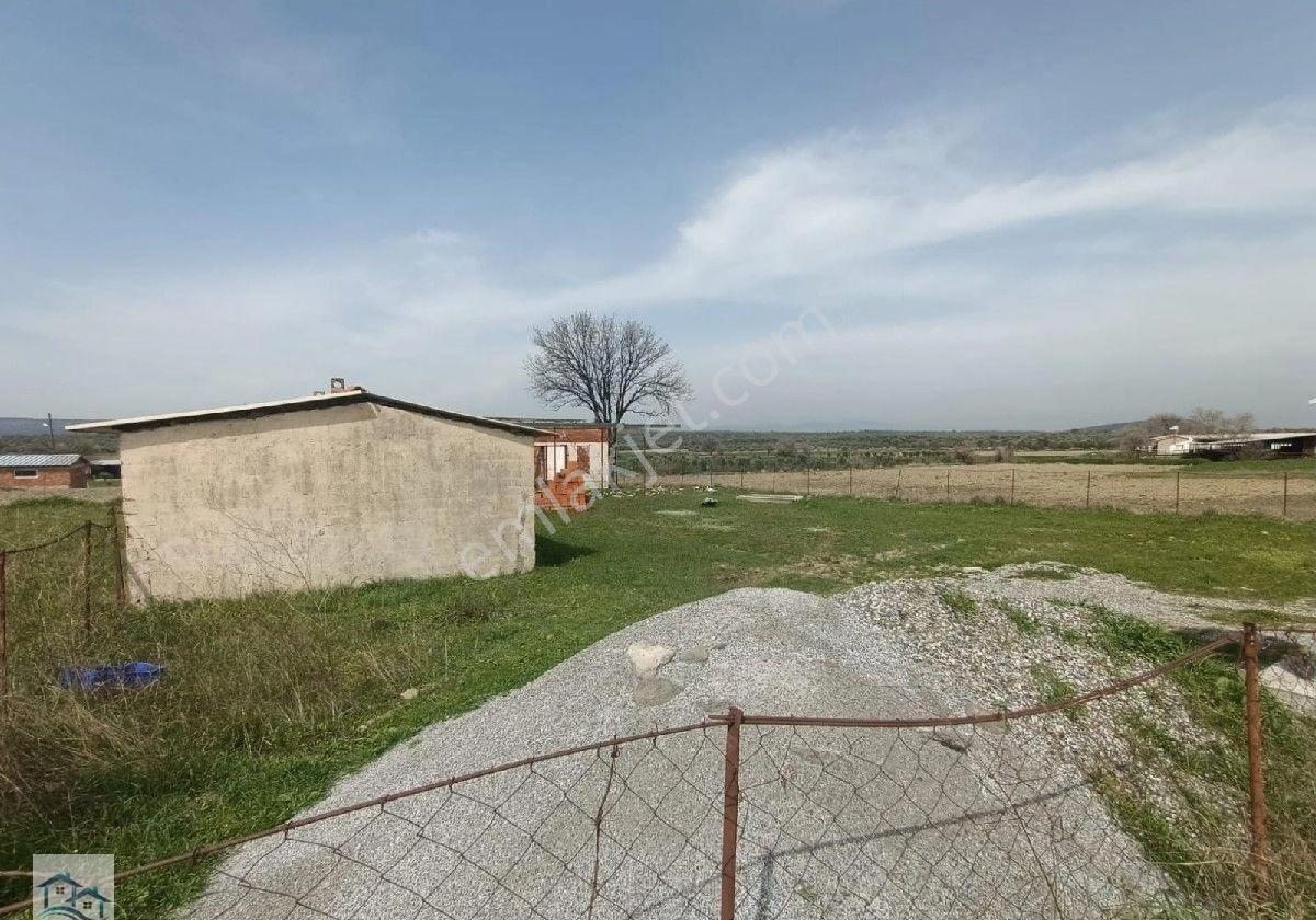 Ayvalık Türközünde Yapı Kayıtlı, Asfalta 161 M2 Cephesi Olan Satılık 661 M2 Tarla - Görsel 5