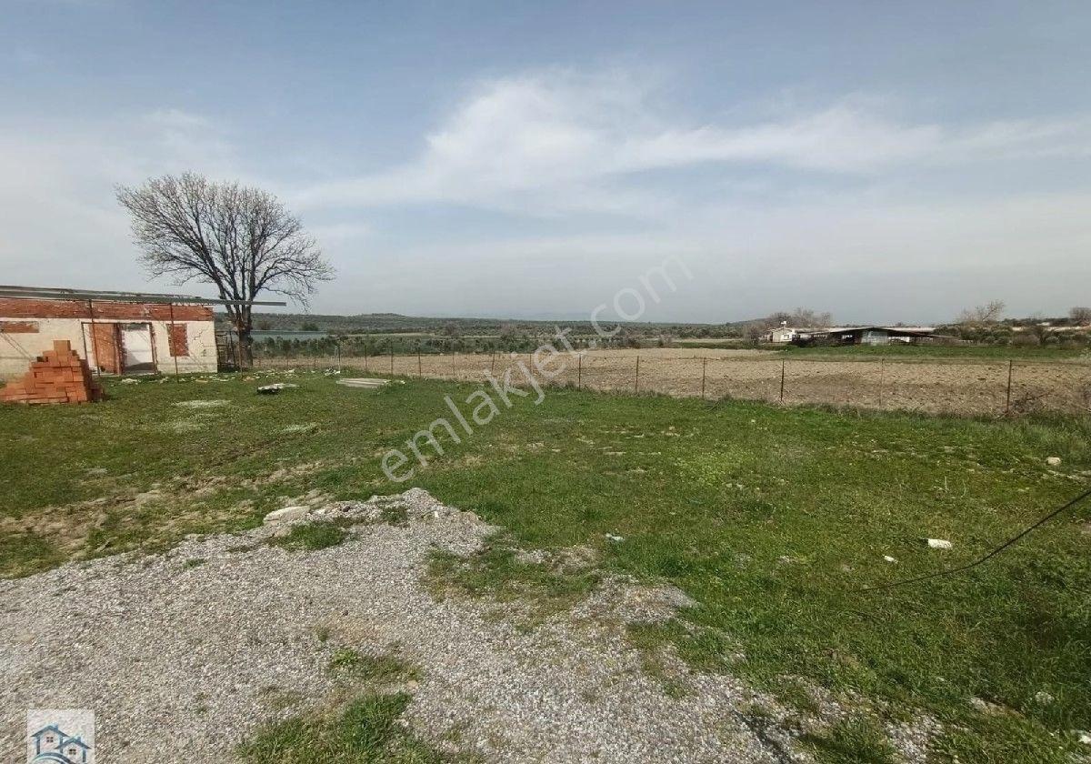 Ayvalık Türközünde Yapı Kayıtlı, Asfalta 161 M2 Cephesi Olan Satılık 661 M2 Tarla - Görsel 9