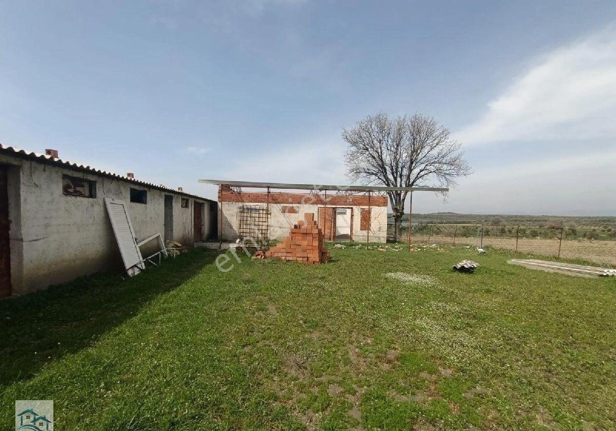 Ayvalık Türközünde Yapı Kayıtlı, Asfalta 161 M2 Cephesi Olan Satılık 661 M2 Tarla - Görsel 4