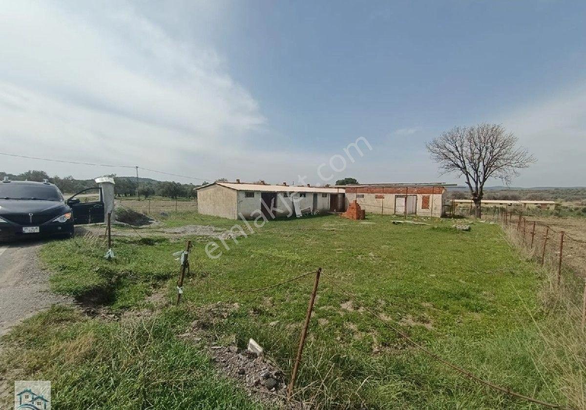 Ayvalık Türközünde Yapı Kayıtlı, Asfalta 161 M2 Cephesi Olan Satılık 661 M2 Tarla