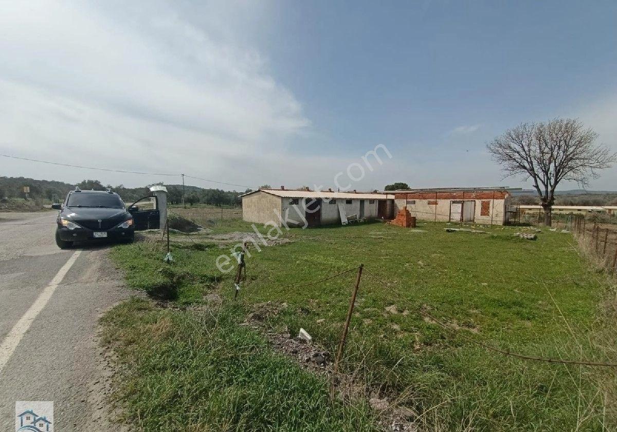 Ayvalık Türközünde Yapı Kayıtlı, Asfalta 161 M2 Cephesi Olan Satılık 661 M2 Tarla - Görsel 7