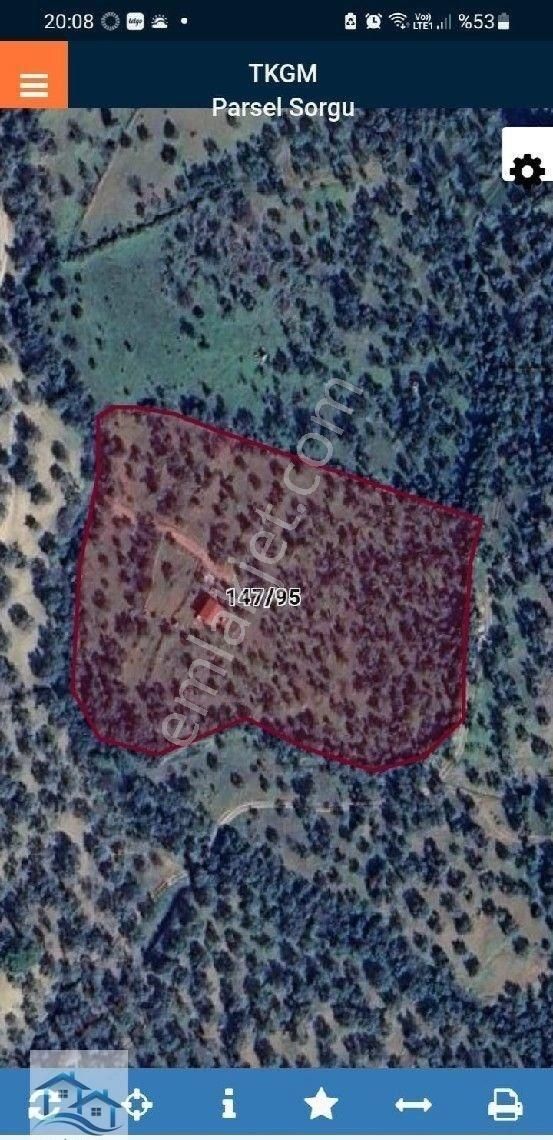 Burhaniye, Bahadınlı Köyü'nde 13.160 M2 Satılık Zeytinlik - Görsel 5