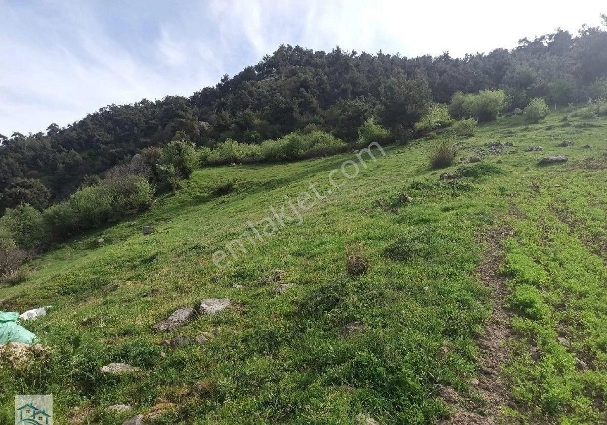 Kınık Büyükoba Da 6.995 M2 Satılık Tarla Ve İçinde Köy Evi