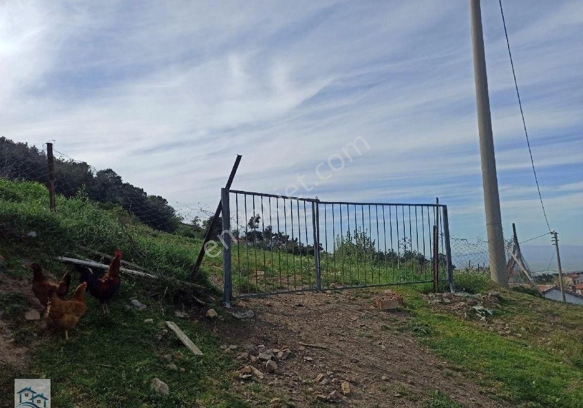 Kınık Büyükoba Da 6.995 M2 Satılık Tarla Ve İçinde Köy Evi - Görsel 6