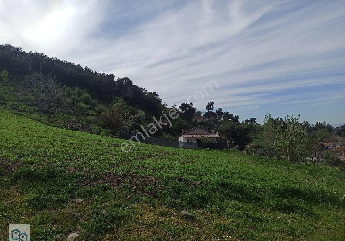 Kınık Büyükoba Da 6.995 M2 Satılık Tarla Ve İçinde Köy Evi - Görsel 20