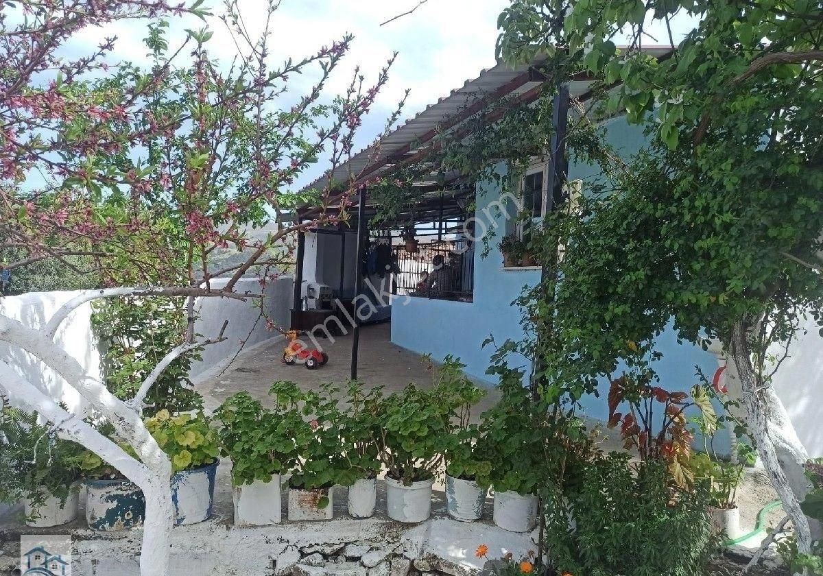 Kınık Büyükoba Da 6.995 M2 Satılık Tarla Ve İçinde Köy Evi - Görsel 19