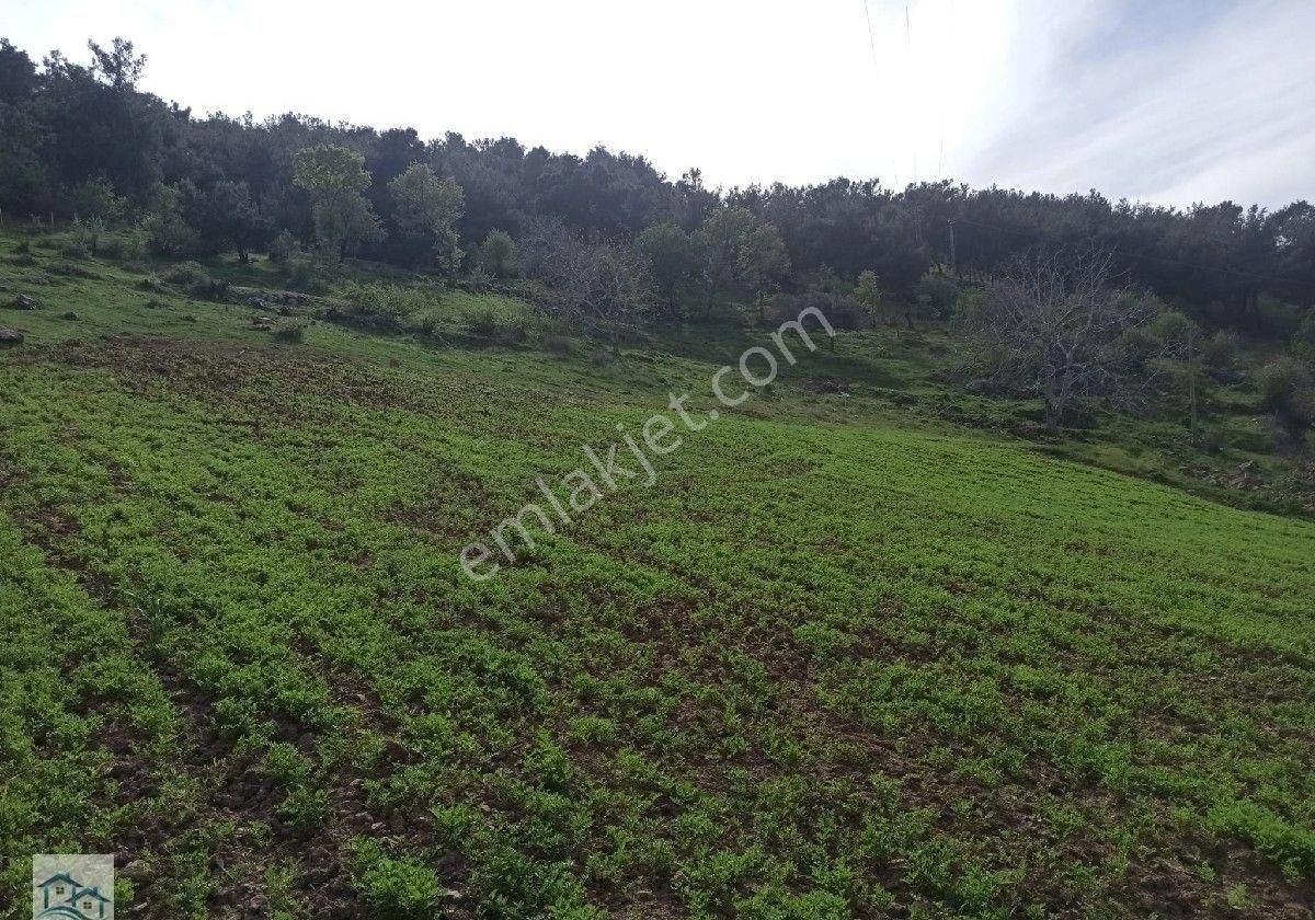 Kınık Büyükoba Da 6.995 M2 Satılık Tarla Ve İçinde Köy Evi - Görsel 10