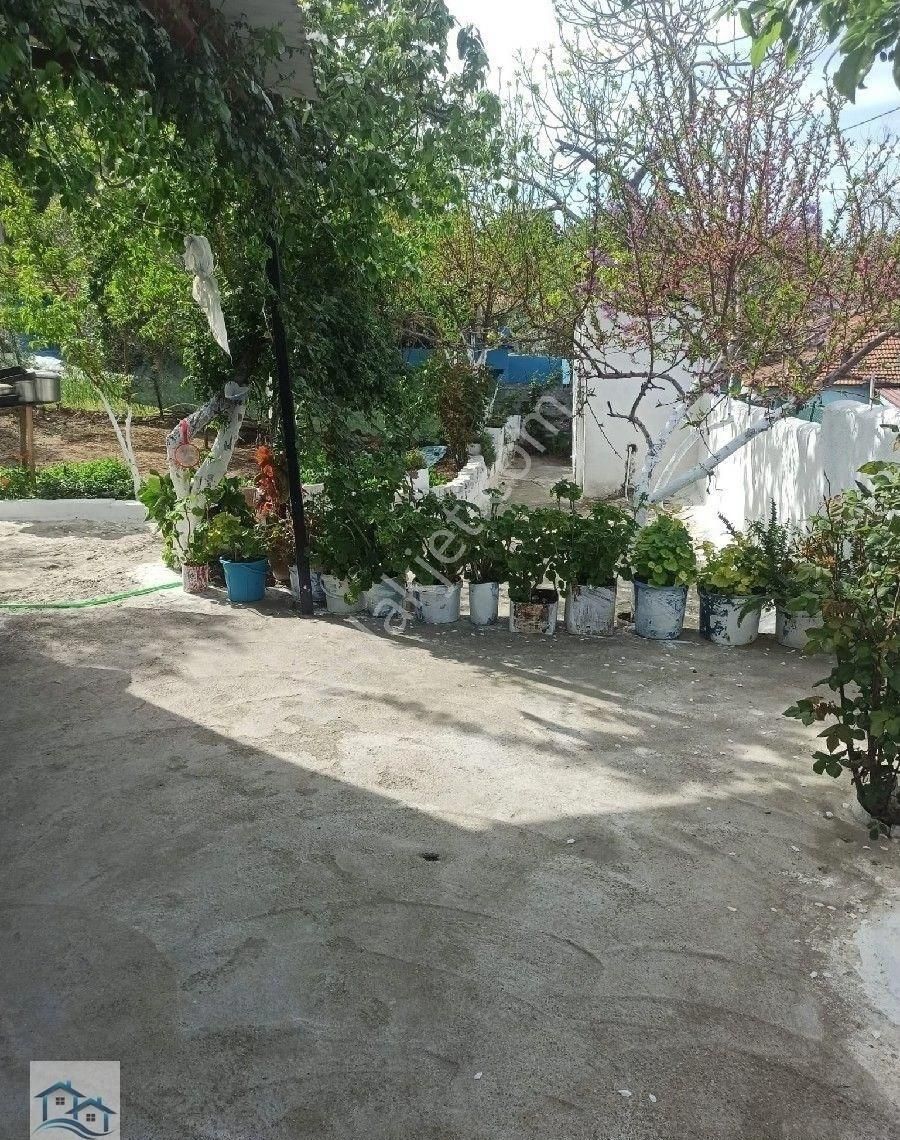 Kınık Büyükoba Da 6.995 M2 Satılık Tarla Ve İçinde Köy Evi - Görsel 12