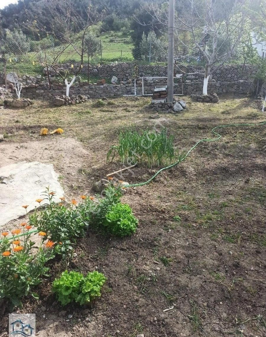 Kınık Büyükoba Da 6.995 M2 Satılık Tarla Ve İçinde Köy Evi - Görsel 21