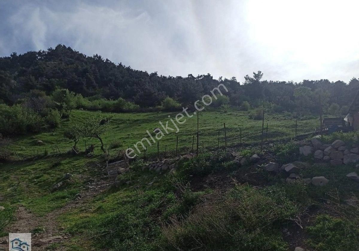 Kınık Büyükoba Da 6.995 M2 Satılık Tarla Ve İçinde Köy Evi - Görsel 5