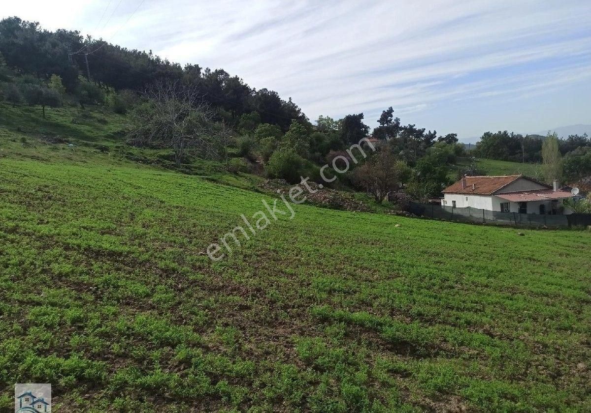 Kınık Büyükoba Da 6.995 M2 Satılık Tarla Ve İçinde Köy Evi - Görsel 8