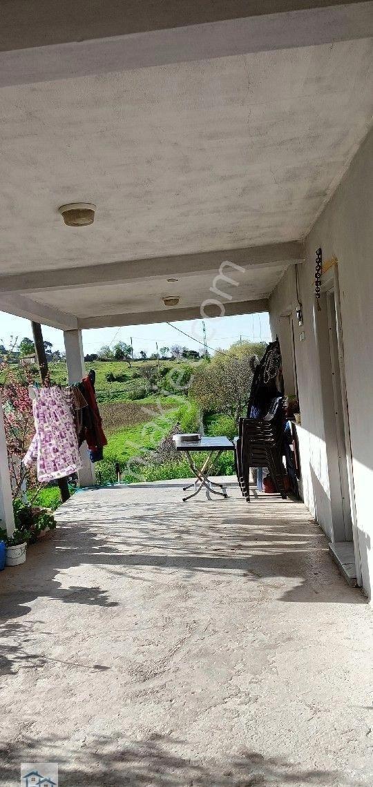 Kınık Büyüoba 'da 800 M2 Tarla İçinde 2+1 Satılık Köy Evi - Görsel 10