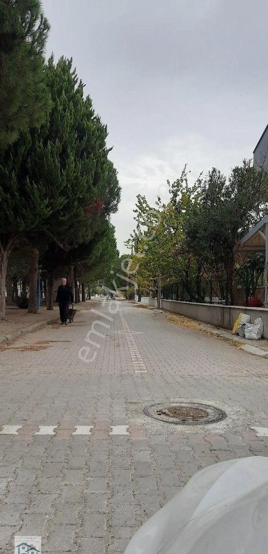 Dikili Salihler De 290 M2 Satılık Villalık Arsa