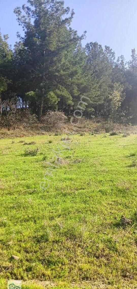 Kınık, Büyükoba Da 17 Dönüm 630 M2 Satılıktarla - Görsel 2