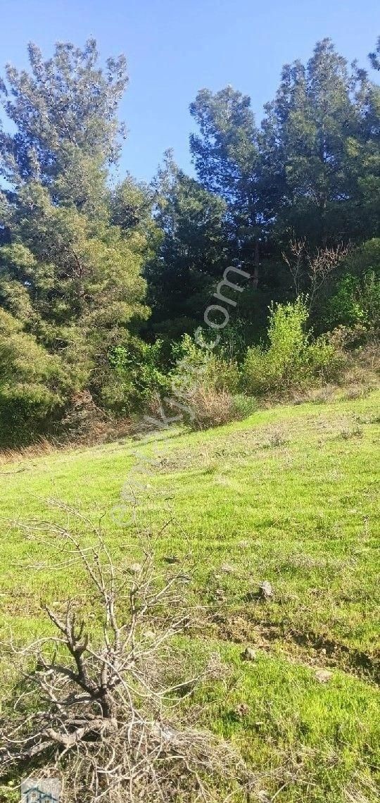 Kınık, Büyükoba Da 17 Dönüm 630 M2 Satılıktarla - Görsel 12