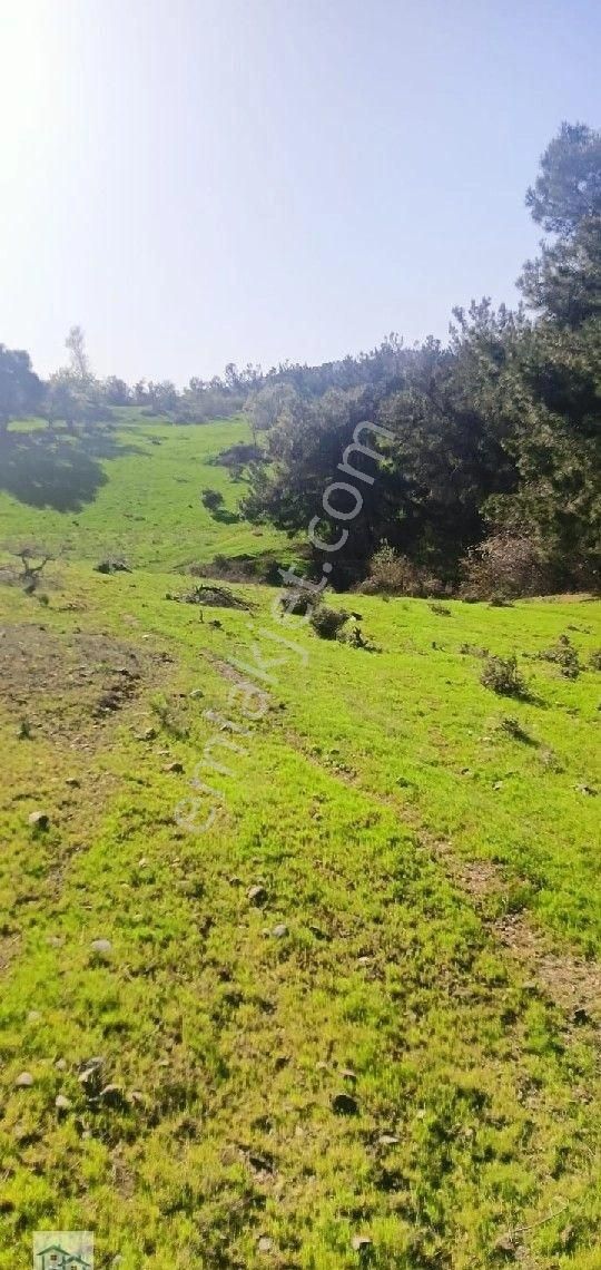 Kınık, Büyükoba Da 17 Dönüm 630 M2 Satılıktarla - Görsel 9