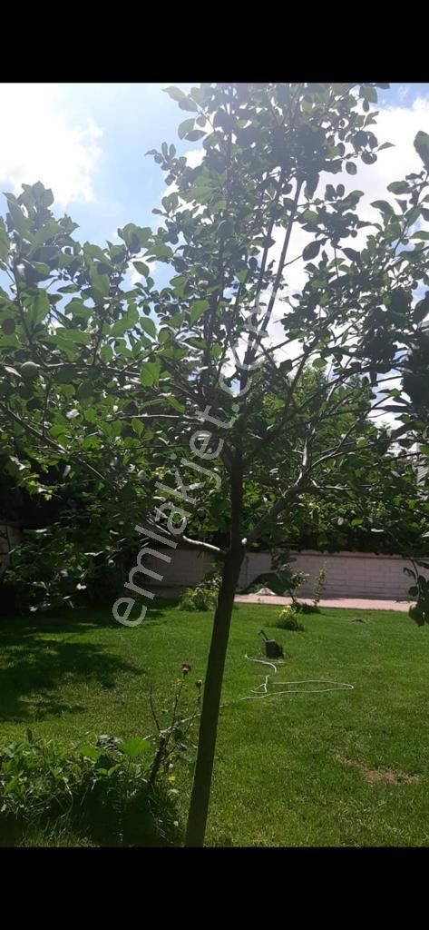 Meram Yaka Mh 9+3 Müstakil Kiralık Villa - Görsel 8