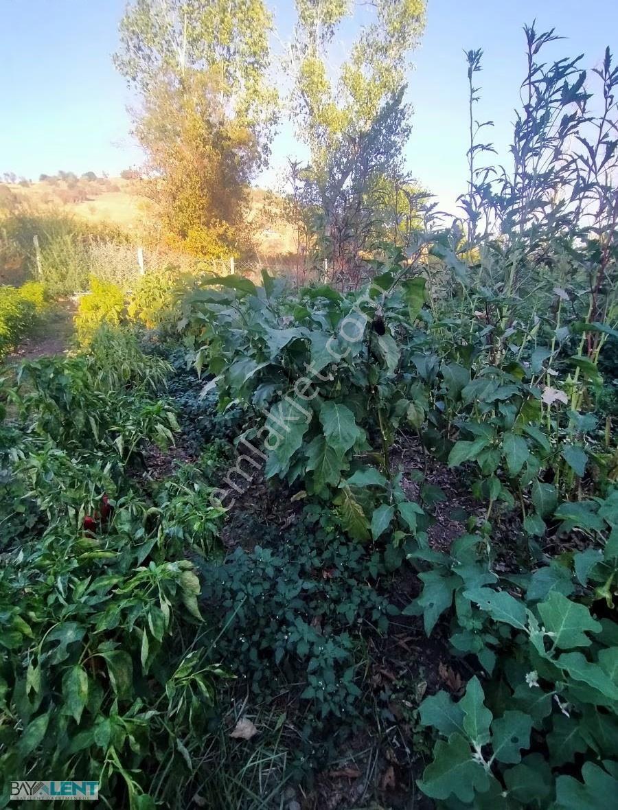 Kepsut Merkez De Balıkesir Kütahya Yolunda Satılık Hobi Bahçesi - Görsel 8