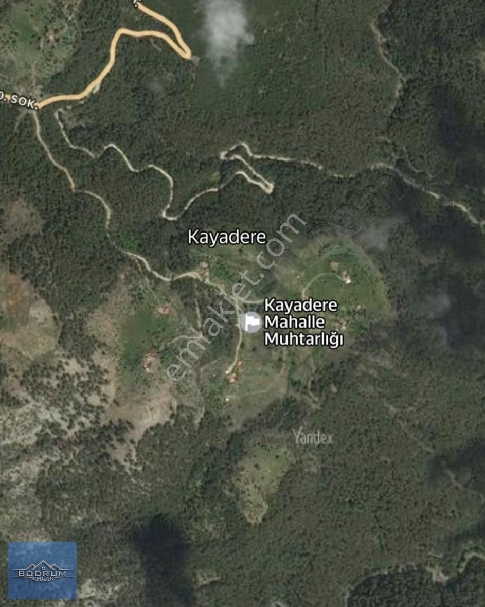 Milas Kayaderesi 4.660m2 Arazi Yolu Var