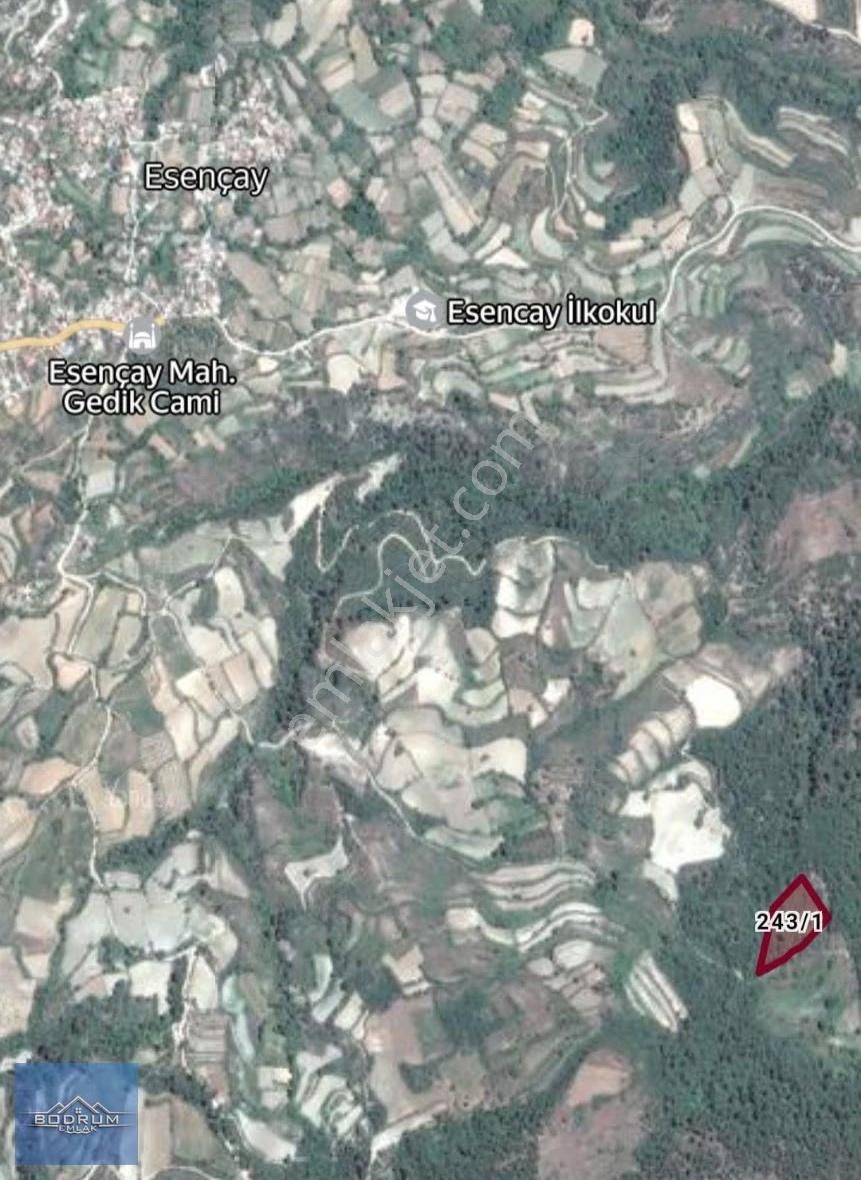 Muğla Menteşe Esençay 8 Dönüm Tarla - Görsel 3