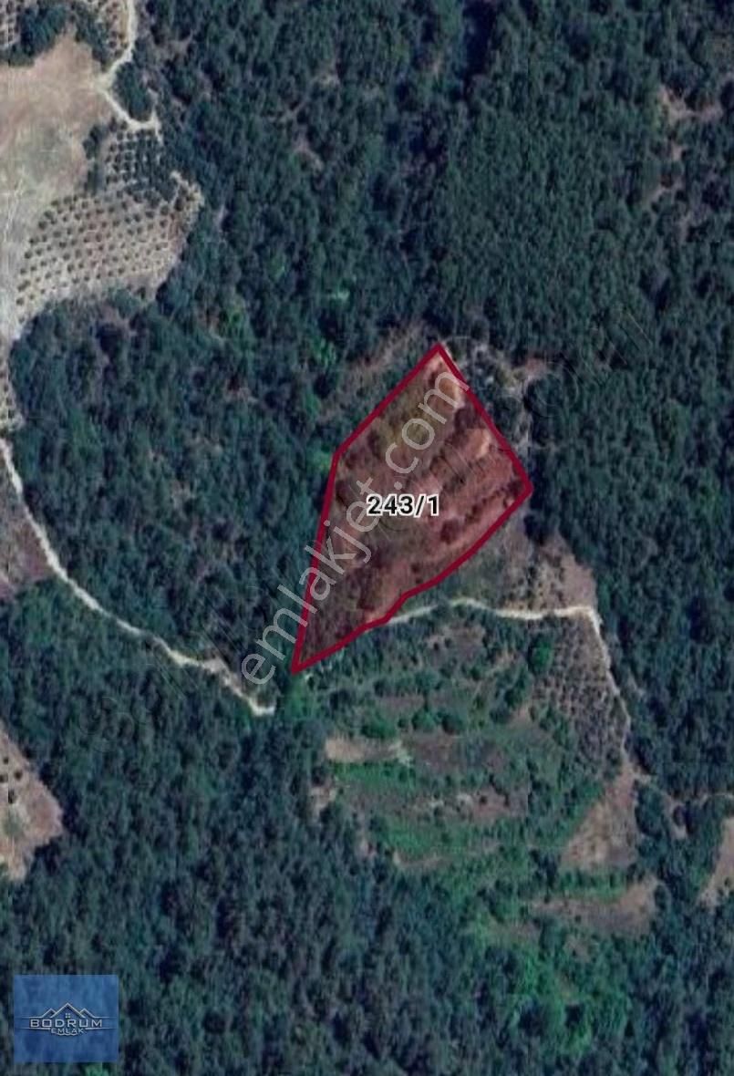 Muğla Menteşe Esençay 8 Dönüm Tarla - Görsel 6