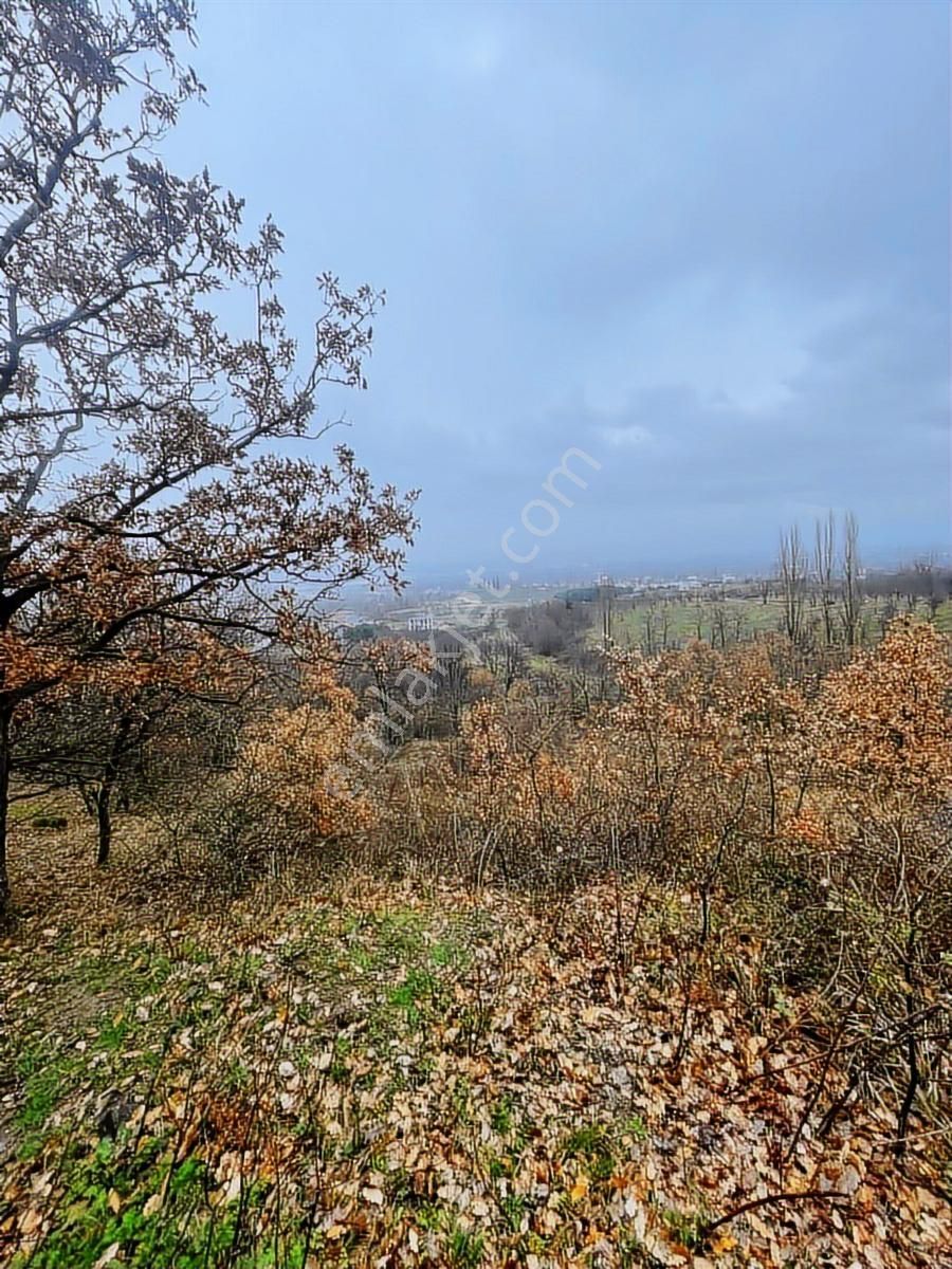 Anka Gayrimenkul Den Edebeyde Manzaralı Satılık Arsa - Görsel 7