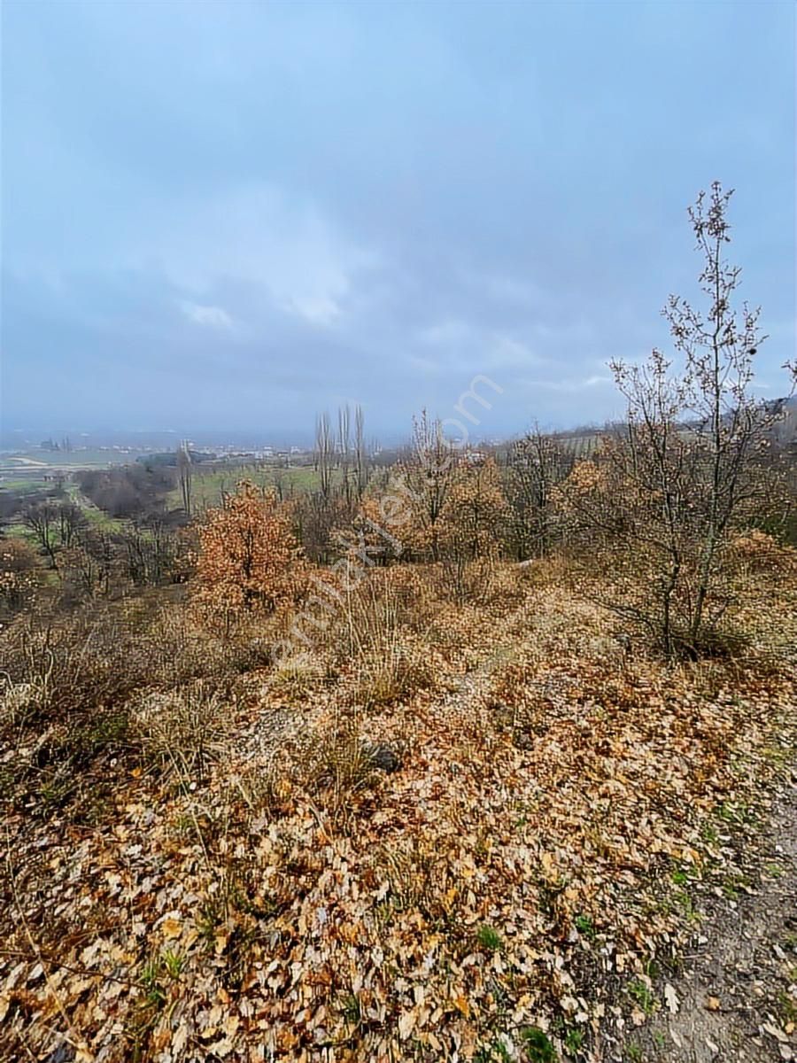 Anka Gayrimenkul Den Edebeyde Manzaralı Satılık Arsa - Görsel 3