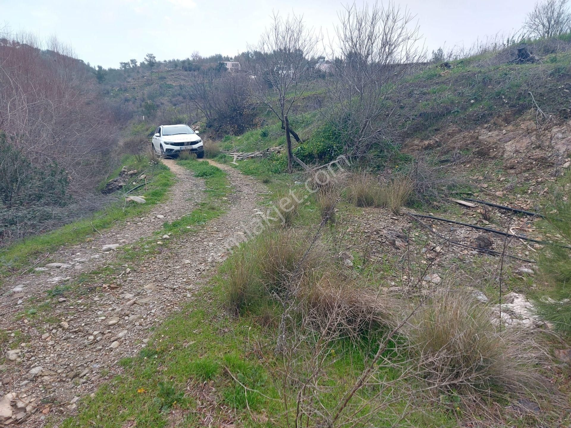 Mersin Anamur Güneybahşiş Mahallesi Müstakil Tapu 11 Dönüm Satılık Tarla - Görsel 10