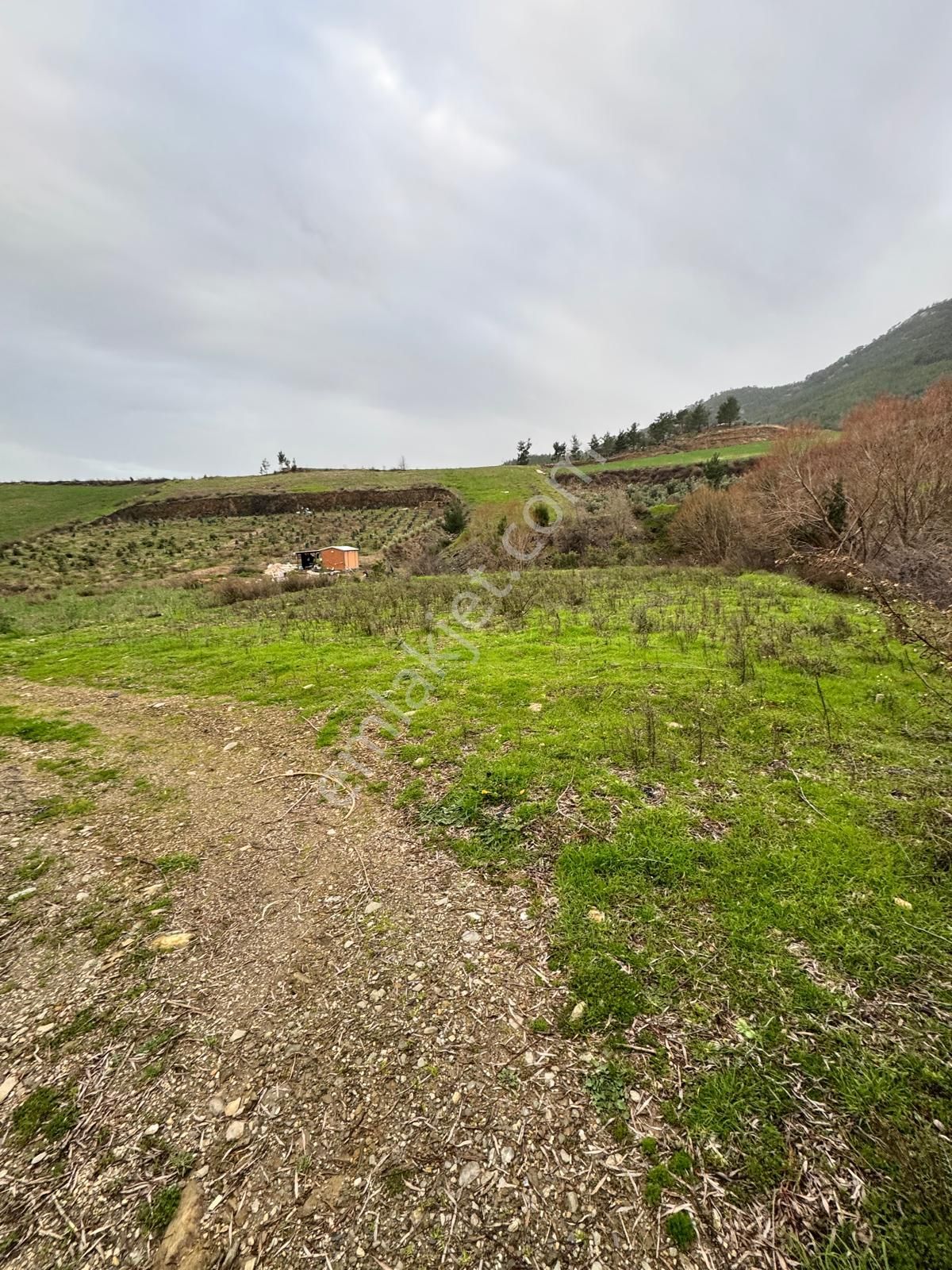 Mersin Anamur Güneybahşiş Mahallesi Müstakil Tapu 11 Dönüm Satılık Tarla - Görsel 11