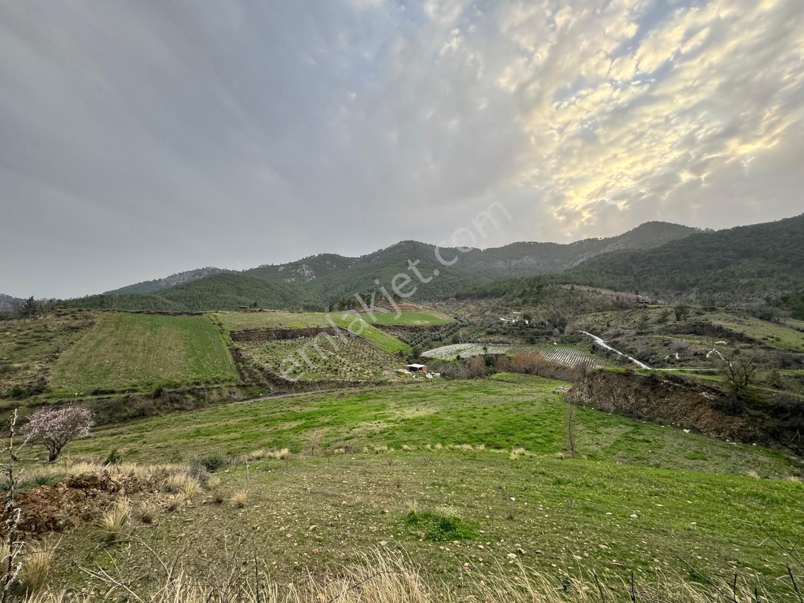 Mersin Anamur Güneybahşiş Mahallesi Müstakil Tapu 11 Dönüm Satılık Tarla