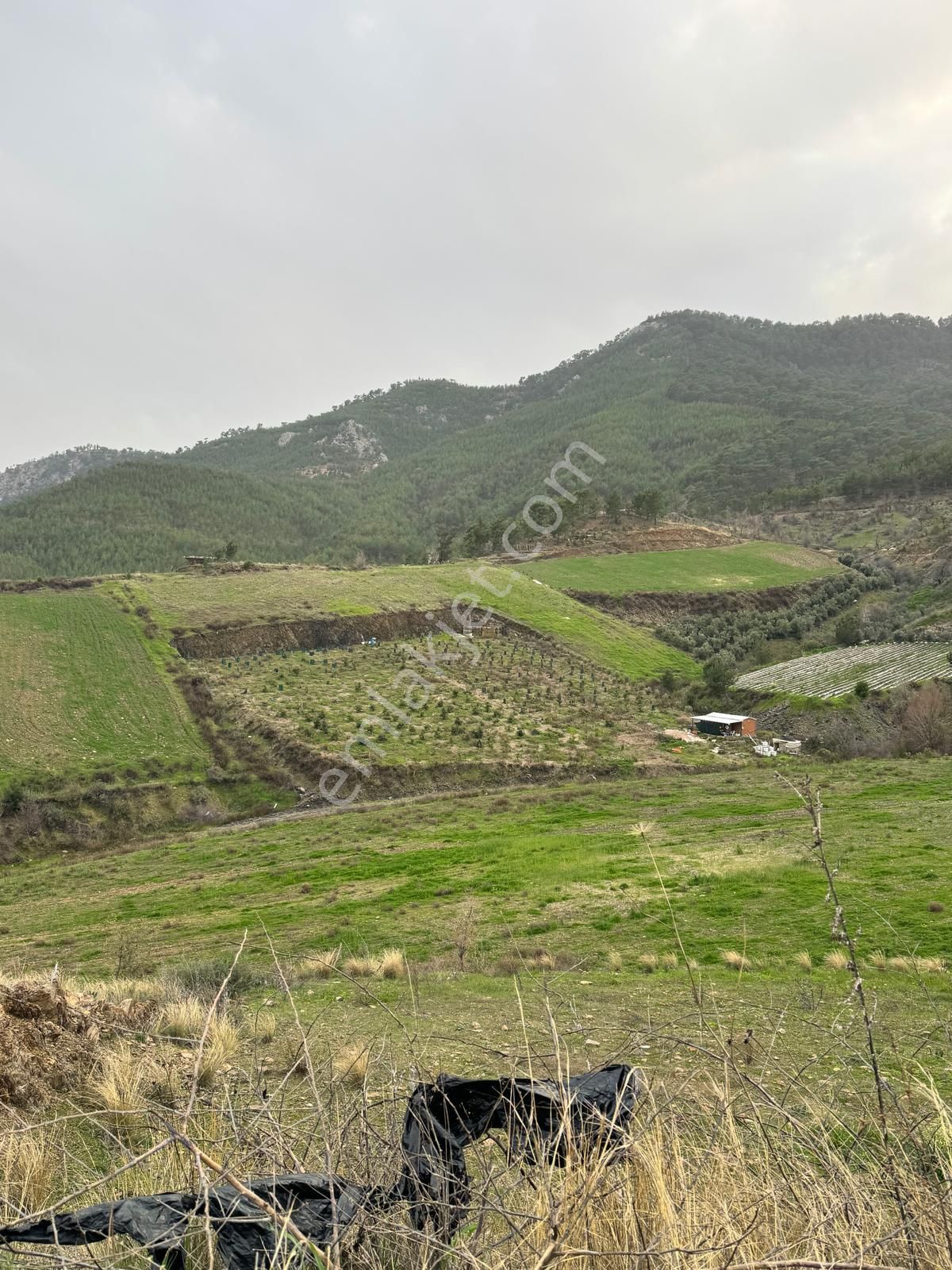 Mersin Anamur Güneybahşiş Mahallesi Müstakil Tapu 11 Dönüm Satılık Tarla - Görsel 15