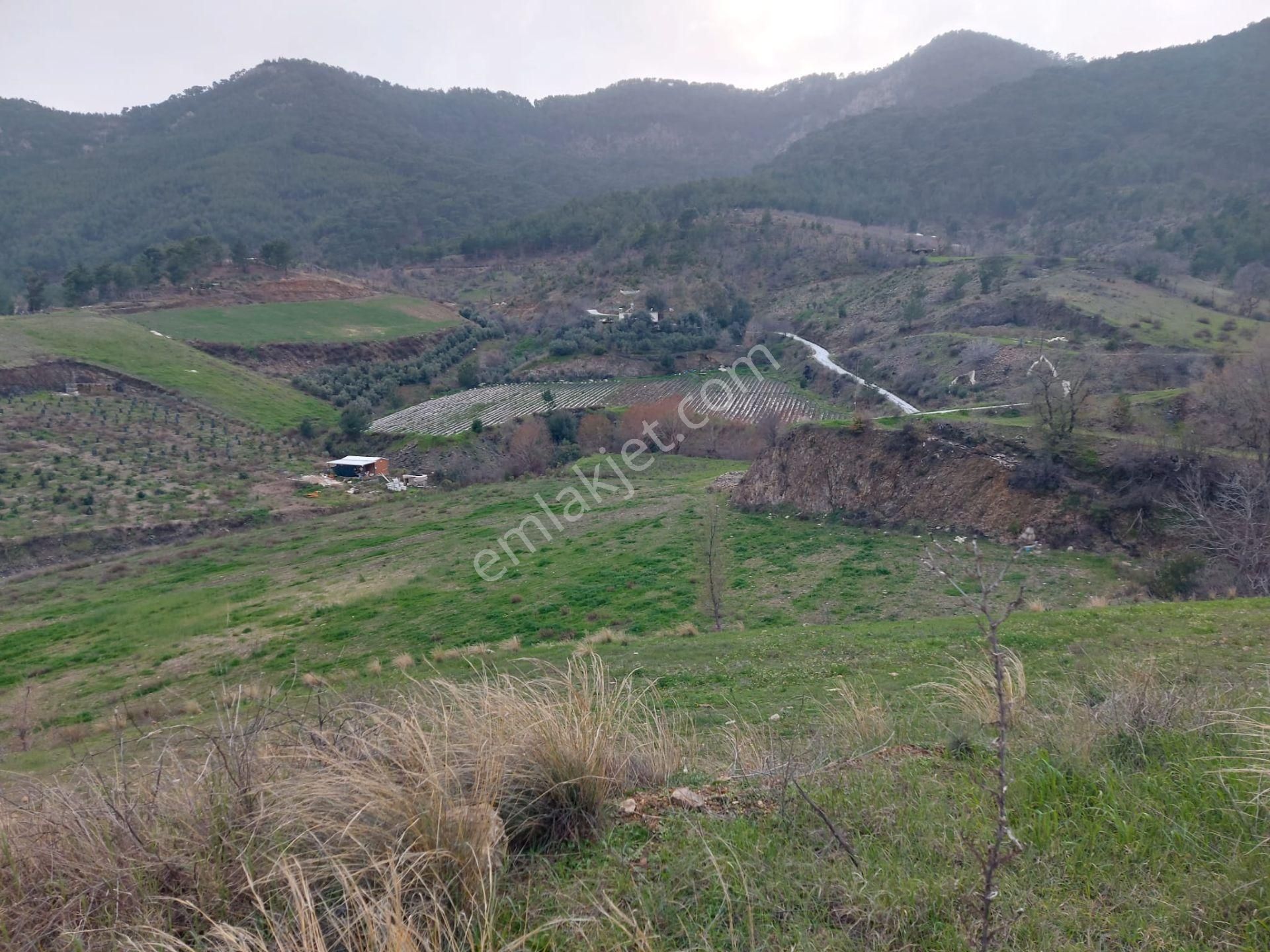 Mersin Anamur Güneybahşiş Mahallesi Müstakil Tapu 11 Dönüm Satılık Tarla - Görsel 14
