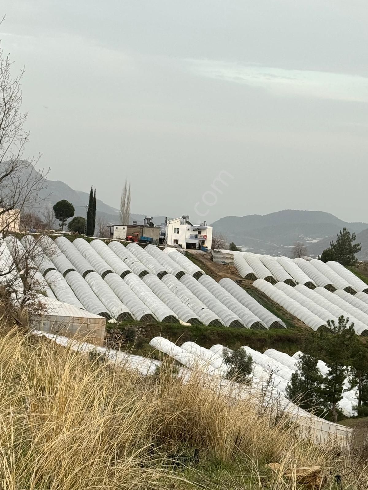 Mersin Anamur Güneybahşiş Mahallesi Müstakil Tapu 11 Dönüm Satılık Tarla - Görsel 6