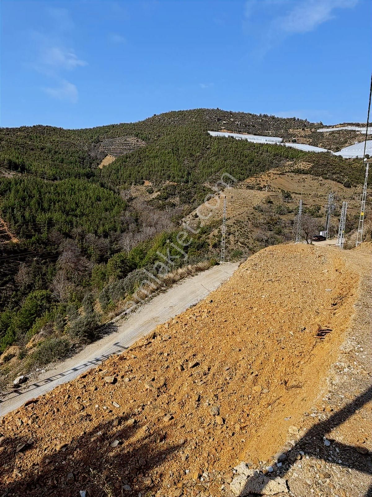 Alanya Güney'de Bahçe Yapımına Hazır Satılık Tarla - Görsel 8